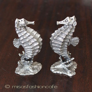 （画像用） タツノオトシゴ 塩コショウ　セット