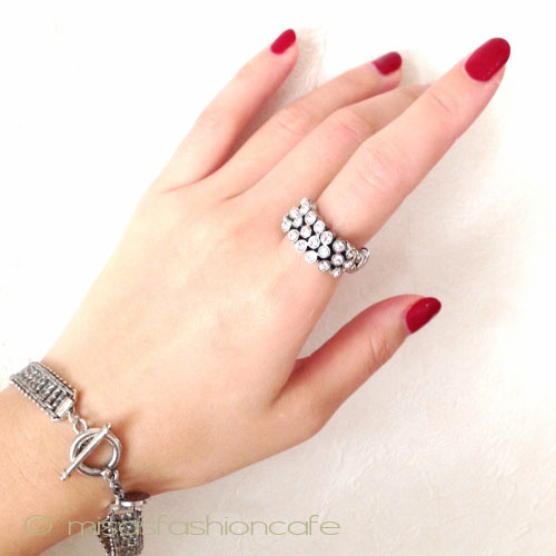 （画像用） Philippe Audibert フィリップオーディベール