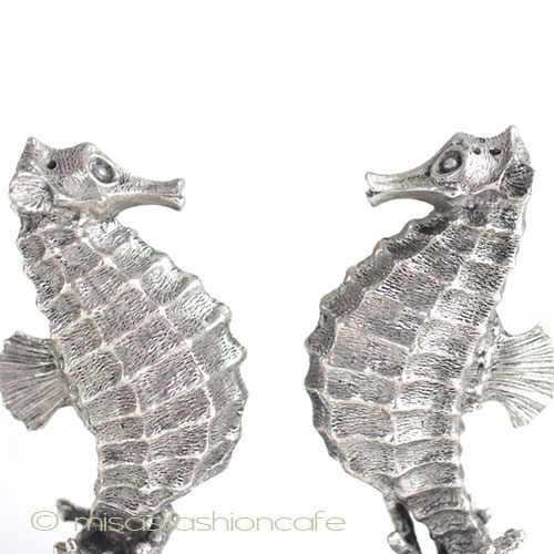 （画像用） タツノオトシゴ 塩コショウ　セット