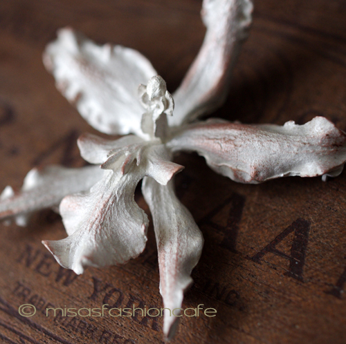 （画像用） マイケルミショー ブローチ 　蘭ランの花