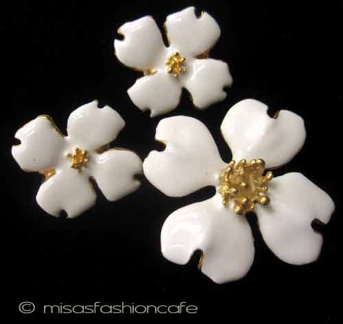 （画像用） ハナミズキの花　セット