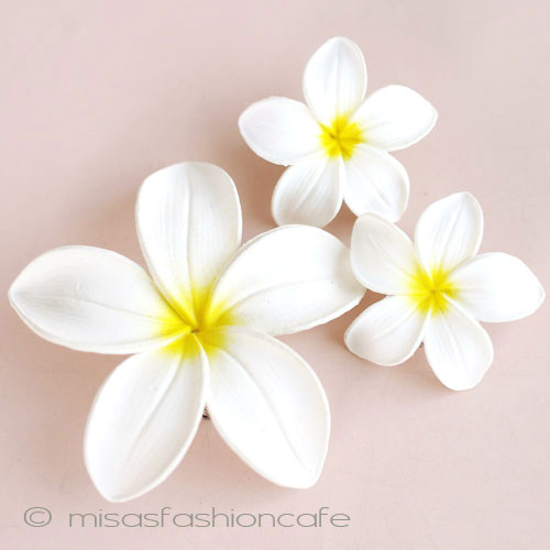 （画像用） ハワイのお花　 プルメリア　セット