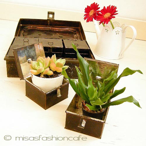 （画像用） ６スパイス缶セット BOX付