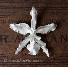 （画像用） マイケルミショー ブローチ 　蘭ランの花