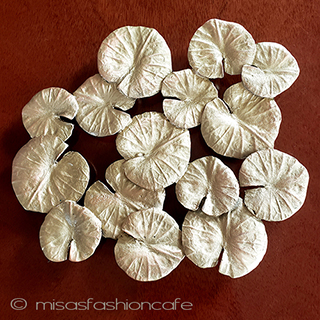 （画像用） マイケルミショー　鍋敷き 睡蓮　蓮の葉