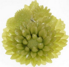 （画像用） フラワー　カメオ　 セルロイド　ブローチ