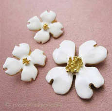 （画像用） ハナミズキの花　セット