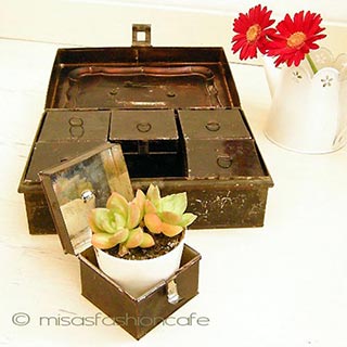 （画像用） ６スパイス缶セット BOX付