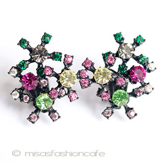 （画像用） マルチカラーRSイヤリング