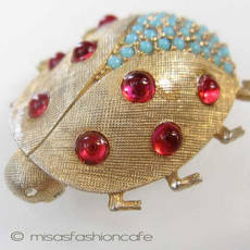 （画像用） てんとう虫 ブローチ