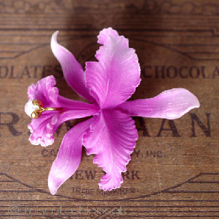 （画像用） アヤメのお花　ブローチ