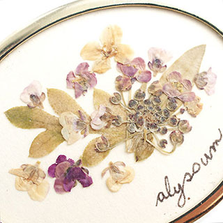 （画像用） 押し花ブーケ　ブローチ