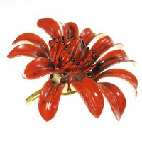 （画像用） Original By Robert　　 ブローチ