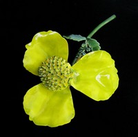 （画像用） Original By Robert　　 ブローチ