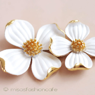 （画像用） ＴＲＩＦＡＲＩ　トリファリ ハナミズキ　２個セット