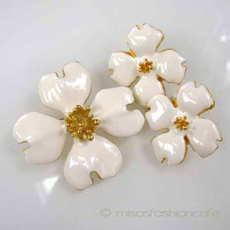 （画像用） ハナミズキの花　セット