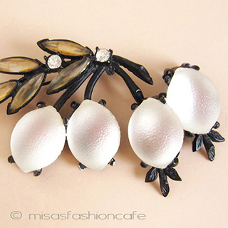 （画像用） Austria レモン セット