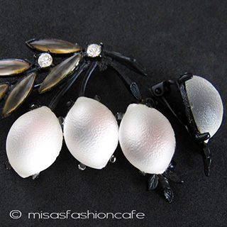 （画像用） Austria レモン セット