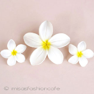 （画像用） ハワイのお花　 プルメリア　セット