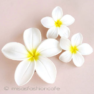 （画像用） ハワイのお花　 プルメリア　セット