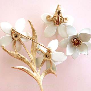 （画像用） クラウン　トリファリ Ｔｒｉｆａｒｉ　お花セット